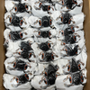 6200 Reusable Half‑Facepiece Respirator Mask Anti‑Dust & Anti‑Gas Industrial Safety Mask